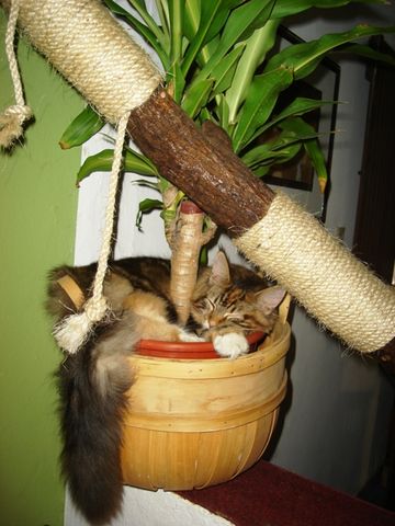 Si hay que dormir.. hay que dormir!